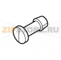 Perno sportello dosatore gri. Saeco Royal Digital Plus