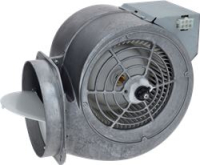 HOOD MOTOR