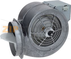 HOOD MOTOR 