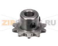 PIGNONE, AZIONAMENTO, 10 DENTI, FORO