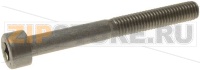 ВИНТ С ЦИЛИНДРИЧЕСКОЙ ГОЛОВКОЙ M5X45