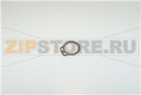 ANELLO SEEGER; DIA.10