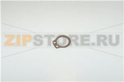 ANELLO SEEGER; DIA.10 