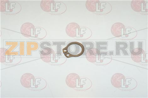 ANELLO SEEGER; DIA.10 