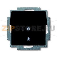 Розетка ABB 2CKA002018A1499