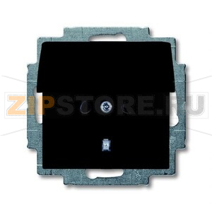 Розетка ABB 2CKA002018A1499 