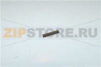 SPINA CILINDRICA INOX 3X14