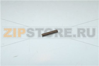 SPINA CILINDRICA INOX 3X14 