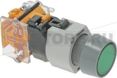 PUSH-BUTTON WITH LIGHT EAO 704.0305 