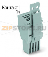 1-проводниковая розетка; Пластина разгрузки натяжения; 1,5; 7-пол.; 1,50 mm; серые Wago 2020-107/144-000