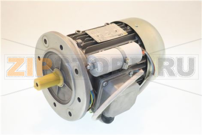 MOTORE MN 220V/50 4P 2.5HP C15 