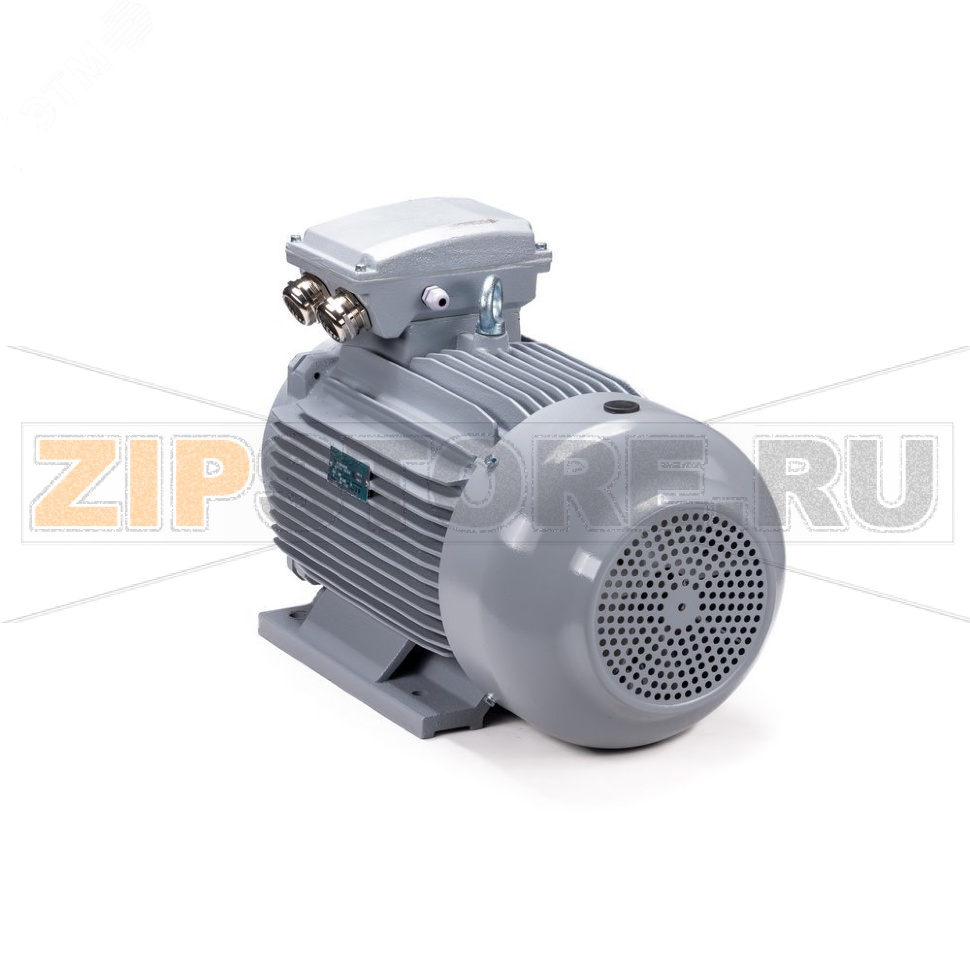Электродвигатель 3 кВт, 220/380 В, 3000 об/мин, IP55 ESQ 01.05.02.000109 