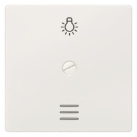 DELTA I-SYSTEM ТИТАНОВЫЙ МЕТАЛЛИК ВЫКЛЮЧАТЕЛЬ 1 КЛАВИША ФИКСИРОВАННАЯ ВИНТОМ С ОКНОМ И СИМВОЛОМ "СВЕТ" 55X55MM Siemens 5TG6266