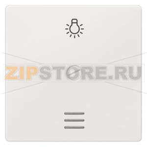 DELTA I-SYSTEM ТИТАНОВЫЙ МЕТАЛЛИК ВЫКЛЮЧАТЕЛЬ 1 КЛАВИША ФИКСИРОВАННАЯ ВИНТОМ С ОКНОМ И СИМВОЛОМ &quot;СВЕТ&quot; 55X55MM Siemens 5TG6266 