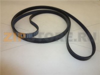 CINGHIA 4 GOLE H 12 mm