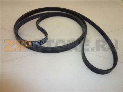 CINGHIA 4 GOLE H 12 mm 