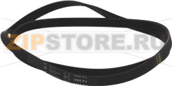 BELT HUTCHINSON 1265 J5 