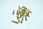 ROUND BULLET - 20 PCS