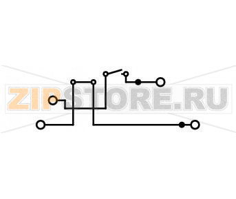 Double-deck disconnect terminal block; with pivoting knife disconnect; same profile as double-deck, double-disconnect terminal block; N/L; for DIN-rail 35 x 15 and 35 x 7.5; 2.5 mm; Push-in CAGE CLAMP®; 2,50 mm; gray Wago 2002-2972 