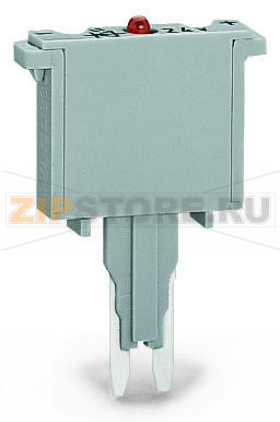 Fuse plug; with soldered miniature fuse; with indicator lamp; LED (red); AC 15 - 30 V; 1 A FF; 5 mm wide; gray Wago 280-854/281-415 