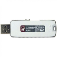 Накопитель USB 2 Гб Kingston DTIG2-2GB