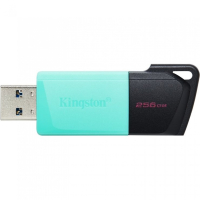 Накопитель USB 256 Гб Kingston DTXM/256GB