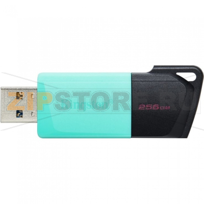 Накопитель USB 256 Гб Kingston DTXM/256GB 