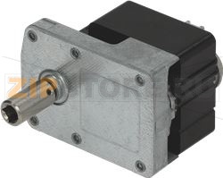 GEARMOTOR 30W 220V 50/60Hz 