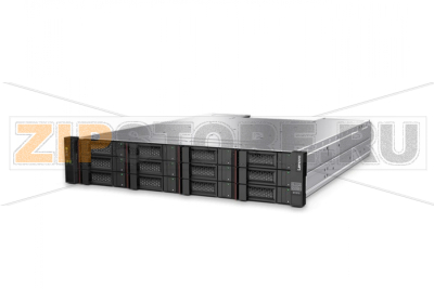Дисковый массив Lenovo D1224 