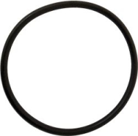 RING GASKET WHIRLPOOL 481253058141