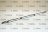 LIST PROTZ VTR INT 143XM