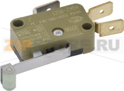 Micro Switch 