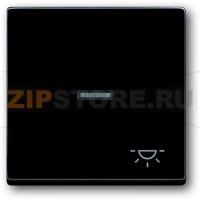 Клавиша выключателя/переключателя/кнопки с символом "Свет", антрацитовая ABB 975.91