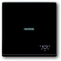 Клавиша выключателя/переключателя/кнопки с символом "Свет", антрацитовая ABB 975.91