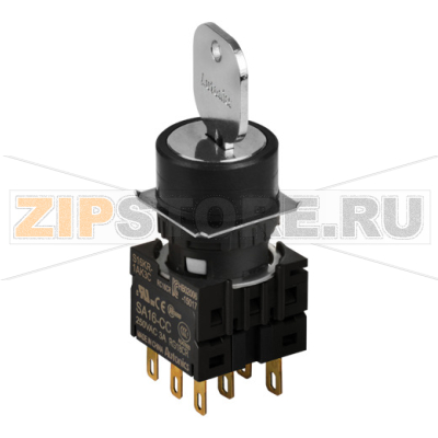 Переключатель селекторный с ключом, Ø отверстия: 16 мм Autonics S16KR-2AK3C 