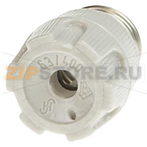 NEOZED ВИНТОВАЯ КРЫШКА ФАРФОРОВАЯ ПЛОМБИРУЕМАЯ РАЗМЕР D01 16А Siemens 5SH4316 