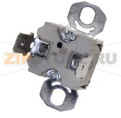 TERMOSTATO SICUREZZA 130° BOSCH 00173651 