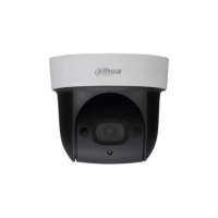 IP-камера Dahua DH-SD29204UE-GN-W