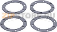 GUARNIZIONE BRUCIATORE SCAMBIATORE - 4PZ