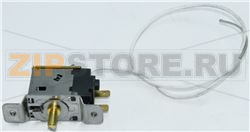 THERMOSTAT 