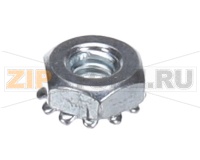 NUT 10-24 KEPS ZINC F