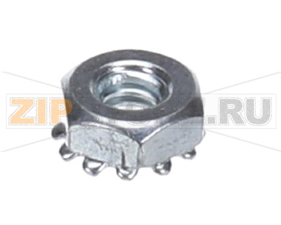 NUT 10-24 KEPS ZINC F 