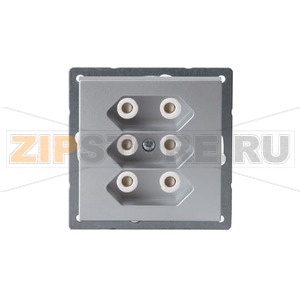 Розетка без заземления, алюминий ABB 2TKA00000451 