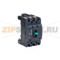 Выключатель автоматический 100 А, 50 кА, 50/60 Гц ESQ 14.02.03.000030