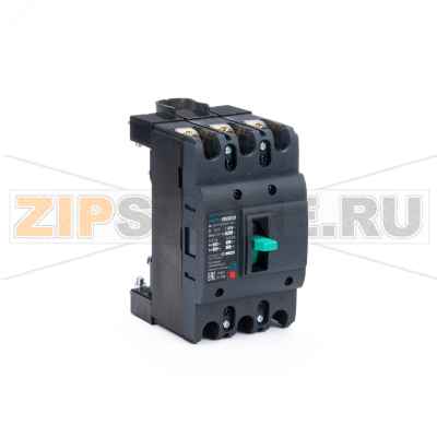 Выключатель автоматический 100 А, 50 кА, 50/60 Гц ESQ 14.02.03.000030 