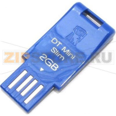 Накопитель USB 2 Гб Kingston DTMSB-2GB 