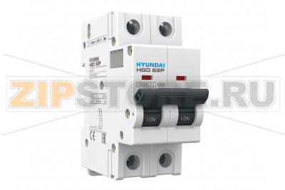 Выключатель автоматический модульный 1 А, 2 полюса, 10 кА Hyundai Electric HGD63P1NMDS0000C00001_C 