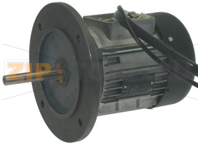 MOTORE TRIFASE 