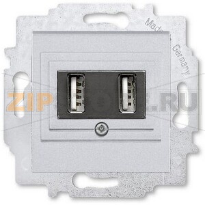 USB-розетка двойная, серебро ABB 2CHH290040A6070 
