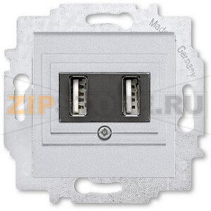 USB-розетка двойная, серебро ABB 2CHH290040A6070 